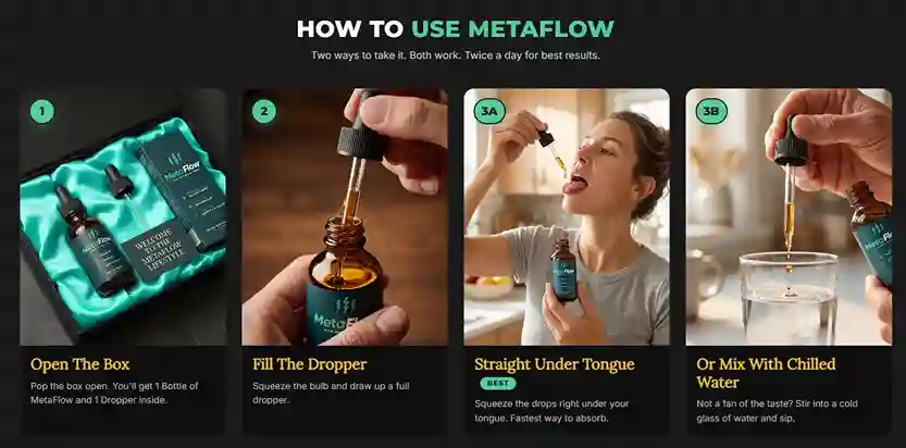 How to use MetaFlow